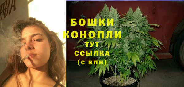 эйфоретик Богданович